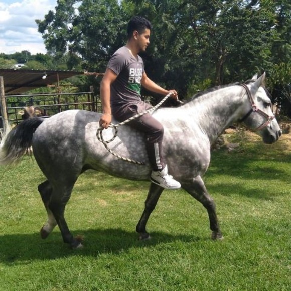 Meet your Posher, Felipe - Picture 1 of 1